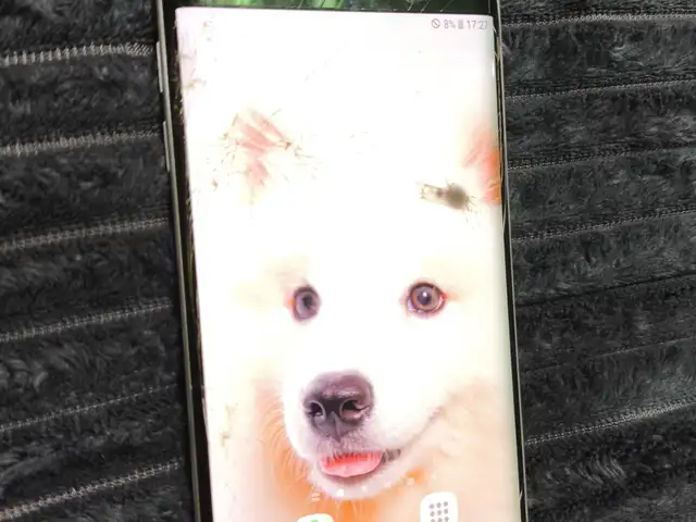 Samsung Galaxy S6 Edge, Худжанд