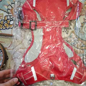Ошейник для прогулки для собак, Худжанд