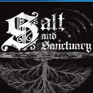 Игра Salt and sancruary для PS-4 / 6.72 / 9.00 / 11.00 / 11.52 / 12.02 / 13.00 /, Душанбе
