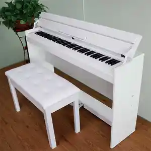 Электронный пианино, Душанбе