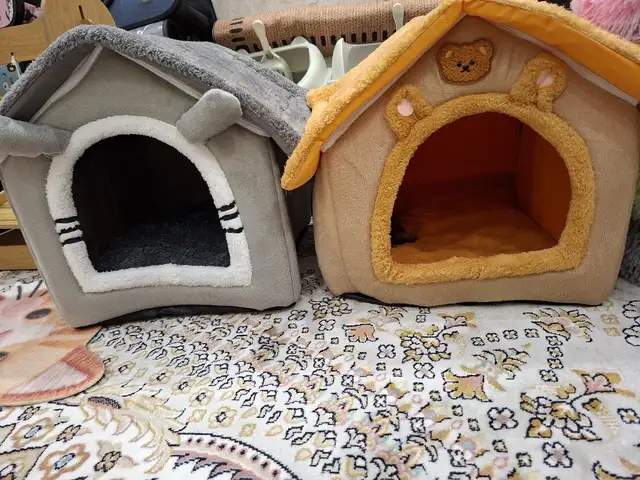 Домик для кошек, Хуҷанд