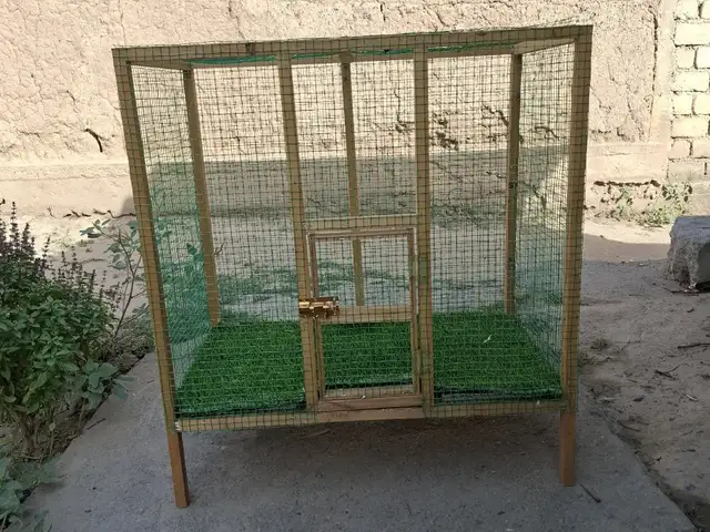 Клетка барои мурғу чуҷаҳо, Ҳисор