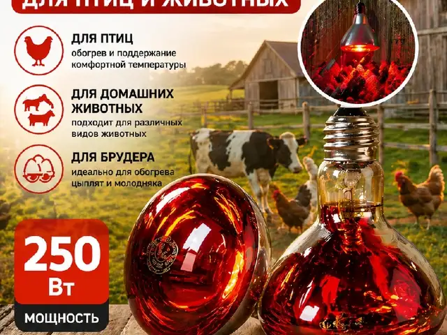 Инфракрасная лампа 250ватт, Худжанд