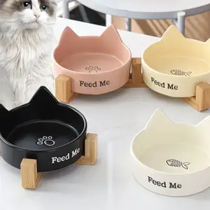 Миски для кошек, Худжанд