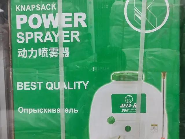 Дорушапак, Душанбе