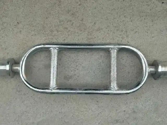 Гриф рама олимпийская, Душанбе