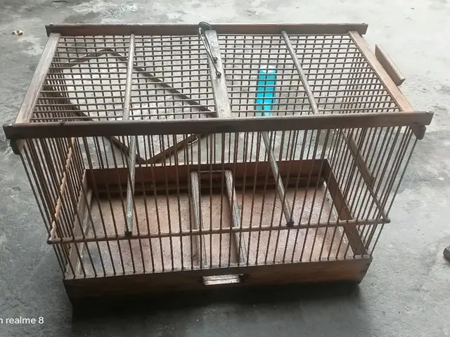 Клетка, Душанбе