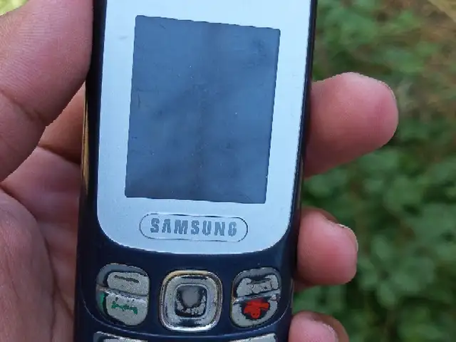 Samsung E312, Пенджикент