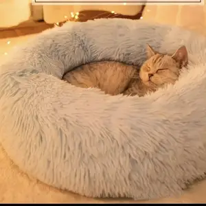 Лежанки для кошек, Худжанд