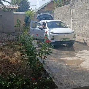 Geely Geometry