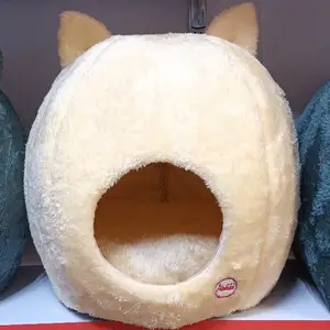 Домик для кошек, Худжанд
