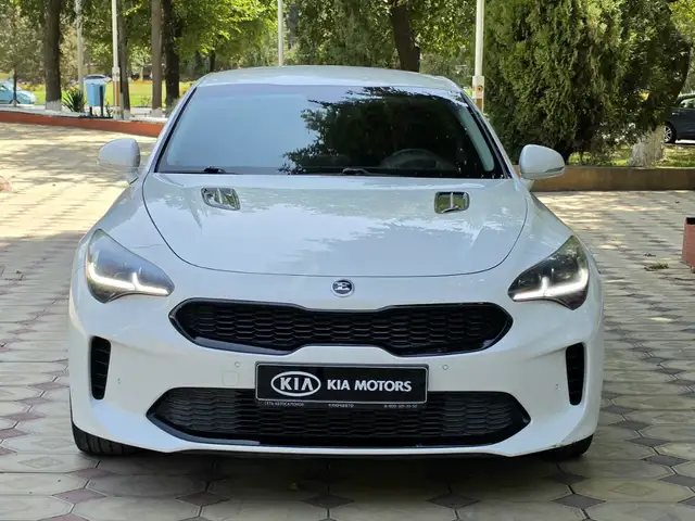 Kia Stinger, 2019, Турсунзаде - 5