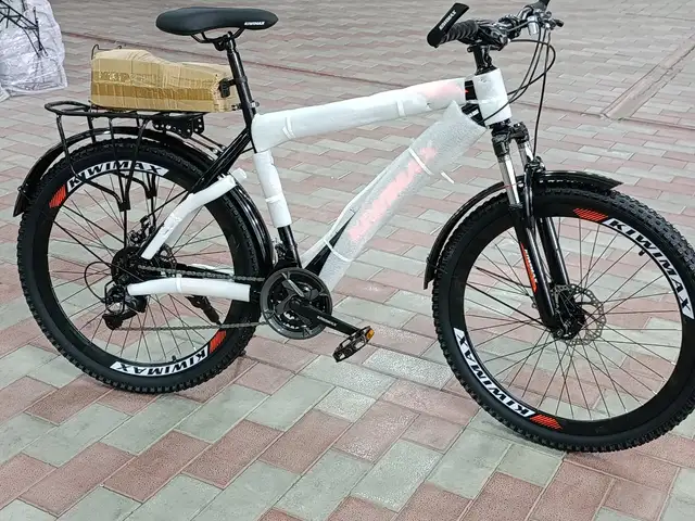Велосипед, Душанбе