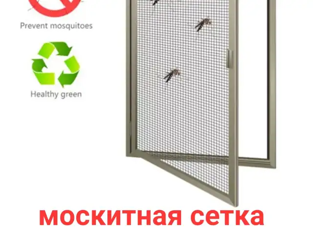 Москитная сетка, Хуҷанд
