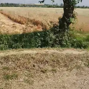Автозаправочная станция, Душанбе