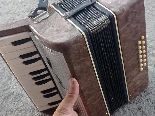 Аккордеон маленький, Худжанд