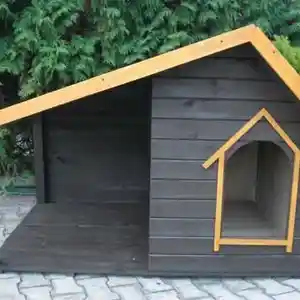 Будка для собак, Душанбе