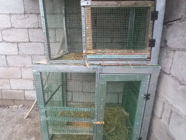 Хонача барои дакан, Турсунзаде