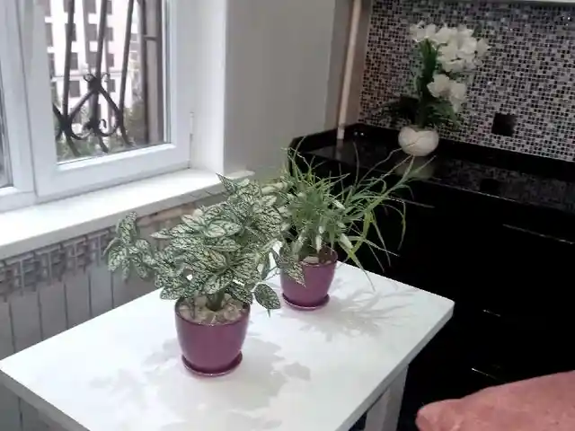 Услуги по уборке и чистке квартир, Душанбе - 2