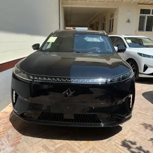 Dongfeng EP 008