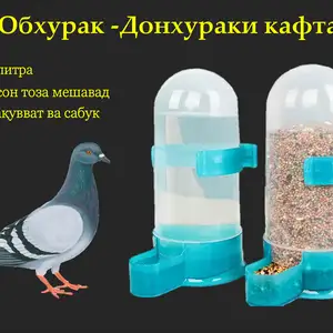 Обхурак-Донхураки клетка, Душанбе