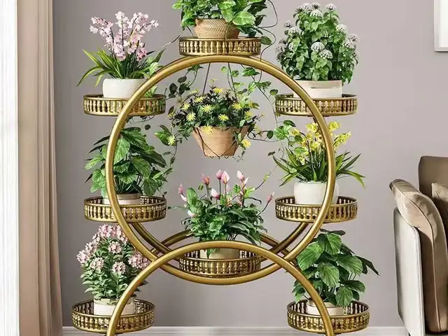Подставка для цветов, Хуҷанд