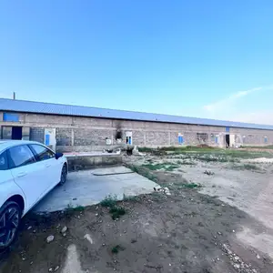 Мургхона, Худжанд