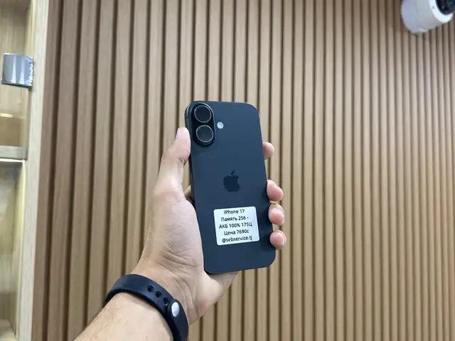 Apple iPhone 17, 256 gb, Black, Душанбе