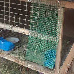 Кафас барои харгуш, Душанбе
