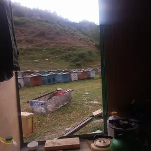 Медогон, Ховалинг
