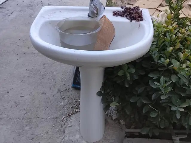 Раковина, Душанбе
