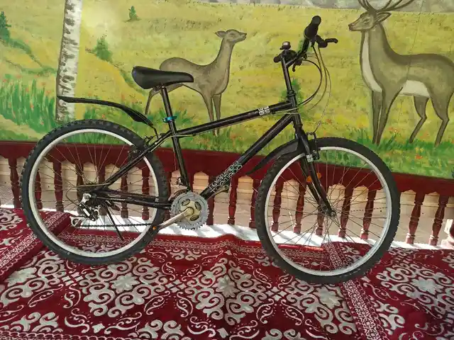 Велосипед, Душанбе