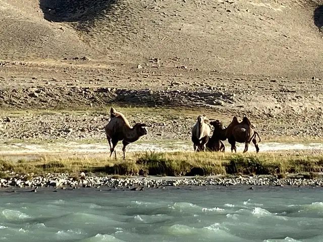 Услуги туризма и отдыха, Душанбе