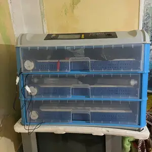Инкубатор на 260 яиц, Душанбе