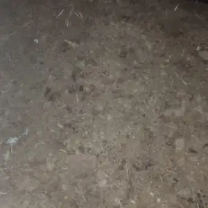 Пору, Турсунзаде