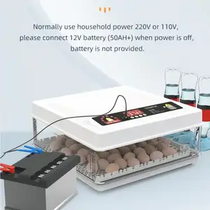 Инкубатор 30, Душанбе
