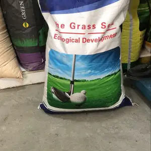 Газони сабзи орзуҳои шумо The Grass Special, Душанбе