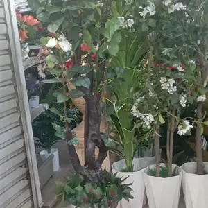 Дарахт, Душанбе