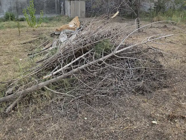Хезуми, Душанбе