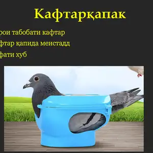 Кафтарқапак, Душанбе
