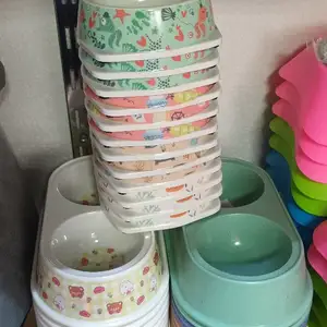 Миска для кошек, Худжанд