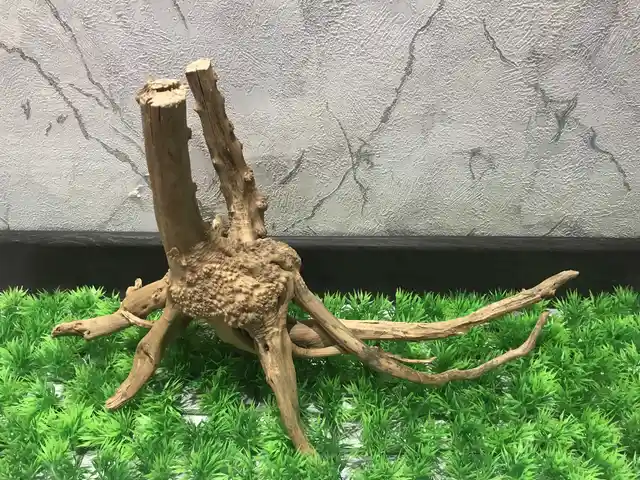 Коряга Little tree root 100g, Хуҷанд