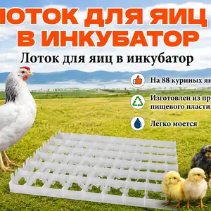 Лоток/Флейка/Ячейкаи тухми мурғ барои инкубатор, Душанбе