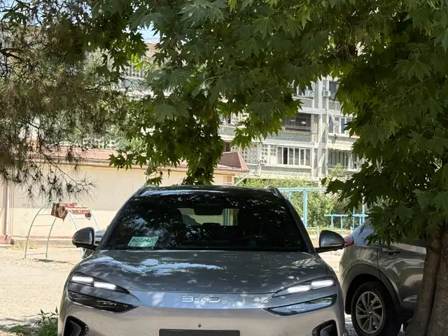 BYD Sea Lion 06, 2025, Душанбе - 5