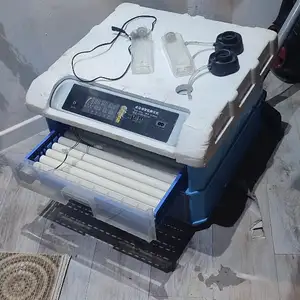 Инкубатор 120, Душанбе
