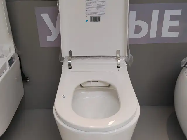 Умный унитаз, Душанбе