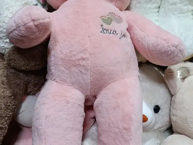 Мишка 110, Душанбе