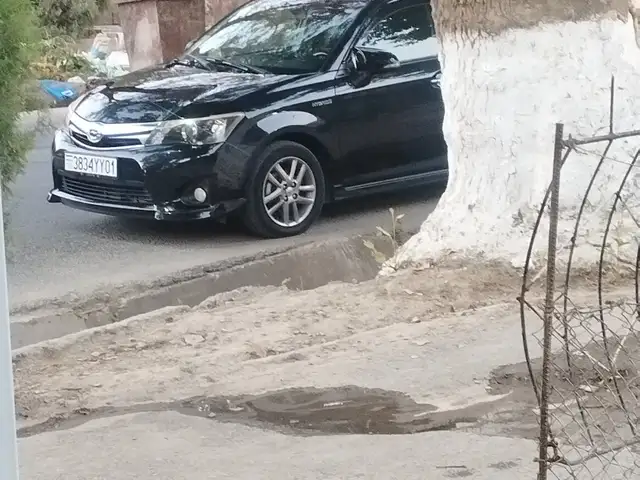 Toyota Fielder