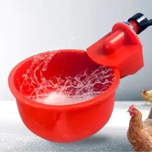 Обхурак, Душанбе