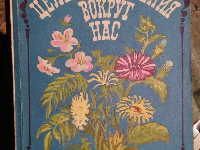 Книга - Целебные растения вокруг нас, Душанбе